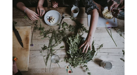 Csalánba nem üt...