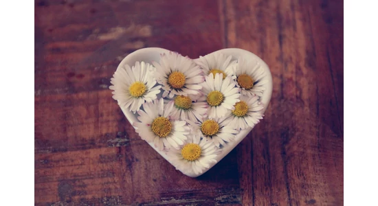 Szeretni azt az életet, amelyik lehetséges: ez is szabadság. Talán nincs is másféle szabadság.  Adam Foulds